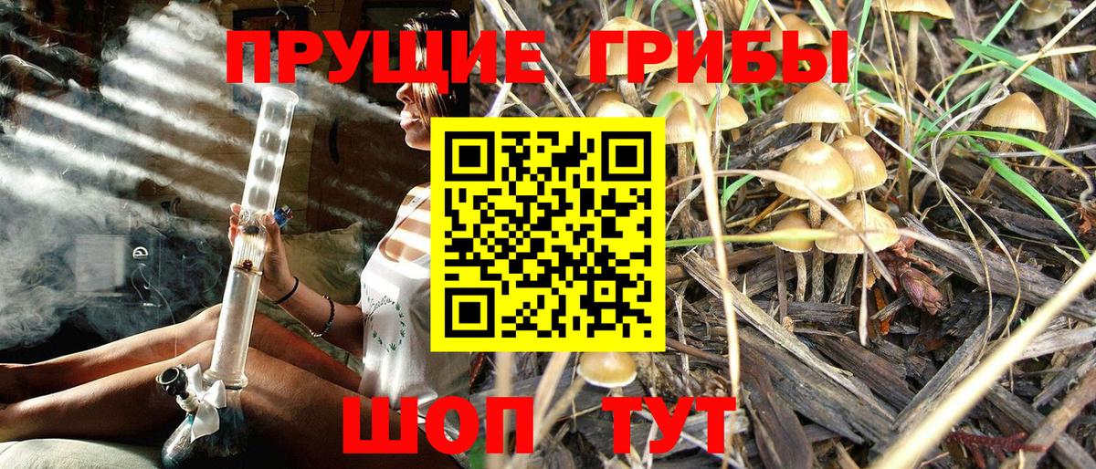 Галлюциногенные грибы мухоморы  Вход с VPN  Красногорск 